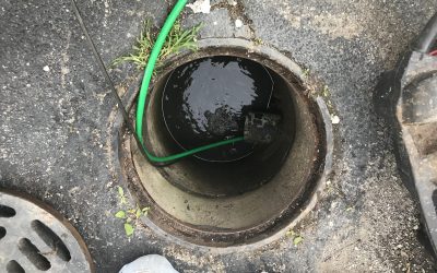 Clog Sewer Lines - 24 Hour Drain Cleaning Service